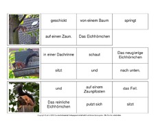 Sätze-bilden-Eichhörnchen 6.pdf